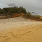 mini-fraser island (8).jpg - 8/22
4 Commentaires